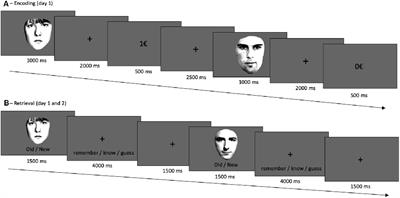 Dopamine Related Genes Differentially Affect Declarative Long-Term Memory in Healthy Humans